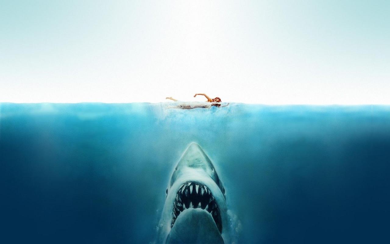 惊悚电影《大白鲨》解说文案-电影解说网