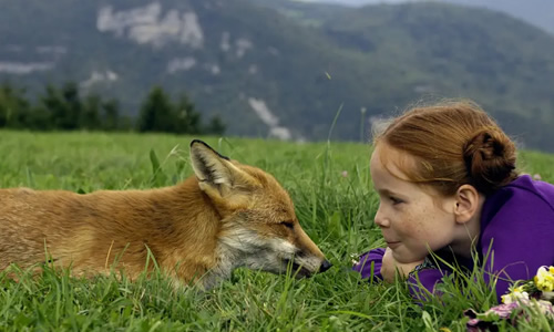 电影《狐狸与我》解说文案-电影解说网